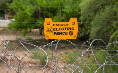 How To Choose The Right Electric Fence