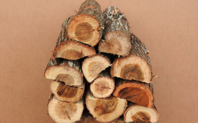 Why Rooikrans Remains South Africa’s Favourite Braai Wood